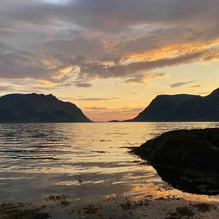Lyngvaer Signature Lodge - Jacuzzi & Sauna - No 27 別荘 Kleppstad
